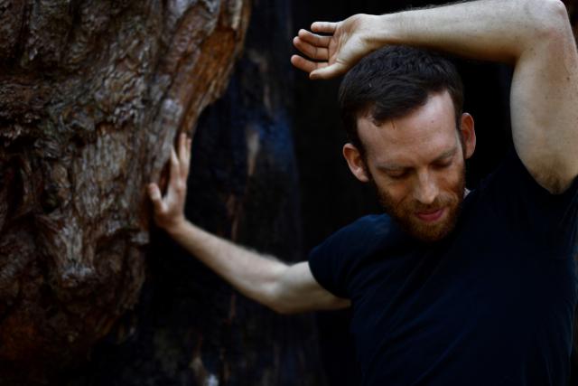 photo of ezra with hands against a tree and focus looking towards the lower corner